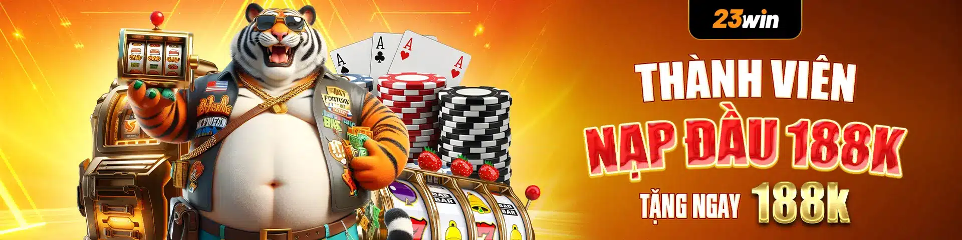 banner 23win