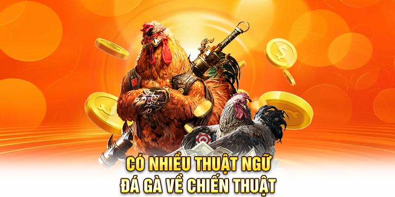 Có nhiều thuật ngữ đá gà về chiến thuật