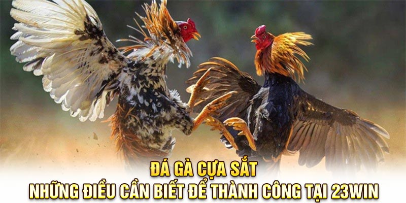 Đá Gà Cựa Sắt: Những Điều Cần Biết Để Thành Công Tại 23Win