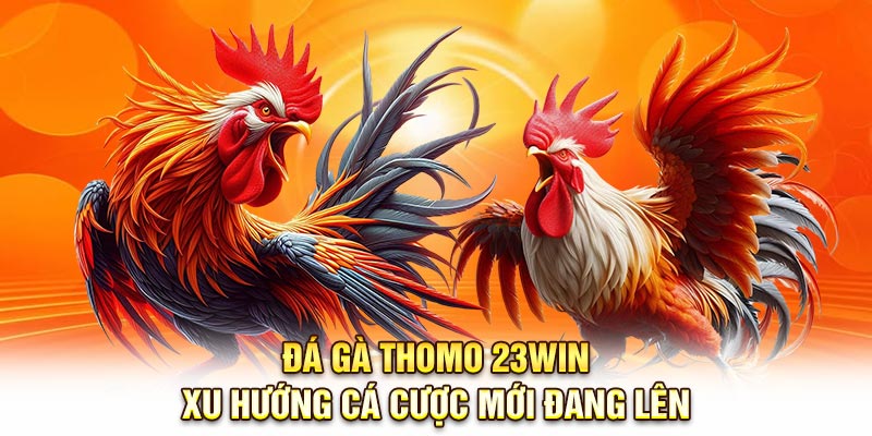 Đá gà thomo tại 23Win - Xu hướng cá cược trực tuyến phát triển mạnh mẽ