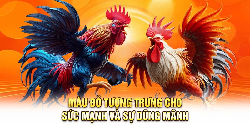 Màu đỏ tượng trưng cho sức mạnh và sự dũng mãnh