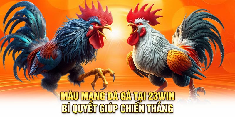 Màu Mạng Đá Gà Tại 23Win – Bí Quyết Giúp Chiến Thắng