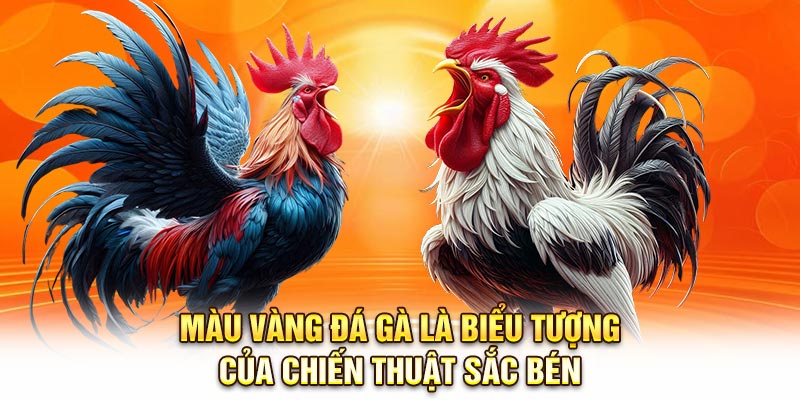 Màu vàng đá gà là biểu tượng của chiến thuật sắc bén