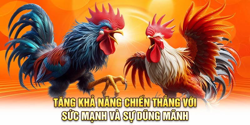 Tăng khả năng chiến thắng với sức mạnh và sự dũng mãnh