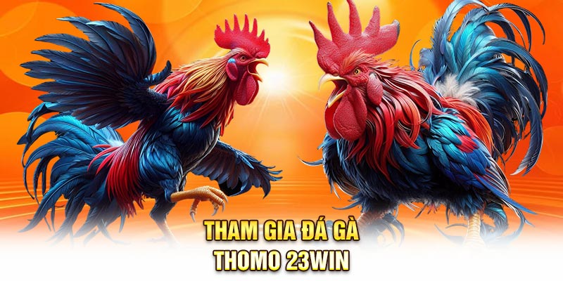 Hướng dẫn tham gia đá gà thomo tại 23Win
